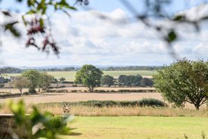 Photo 24- click for photo gallery